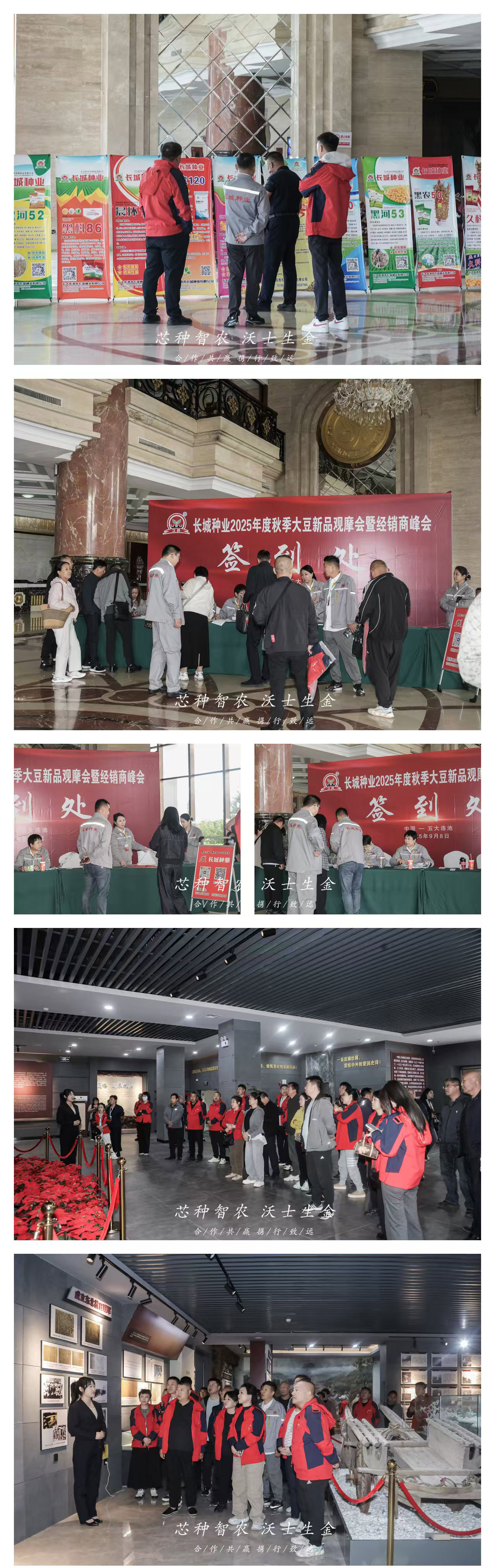 2025年度秋季大豆新品觀摩會(huì)暨經(jīng)銷商峰會(huì)簽到現(xiàn)場.jpg